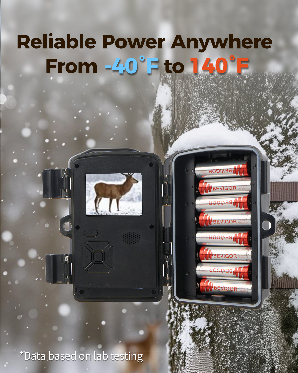 Lithium AA Batteries for Blink Cameras, Trail Cam