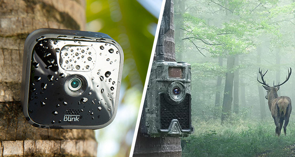 Bevigor Lithium Battery help you can do your work better.