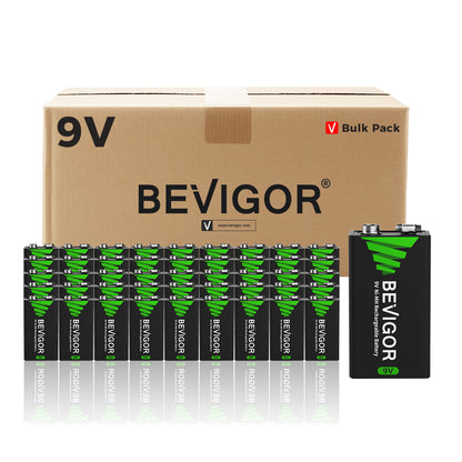 bevigor rechargeable 9v battery bulk wholesale