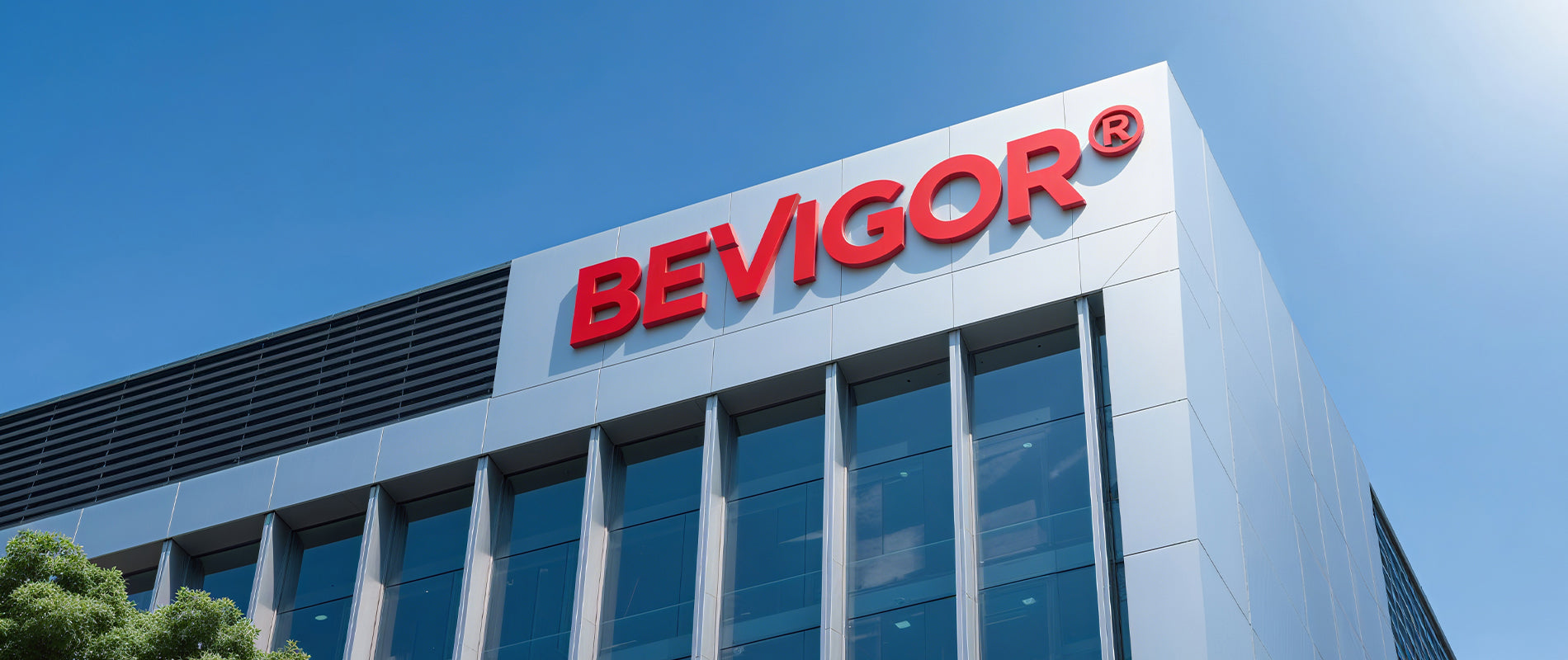 Bevigor company