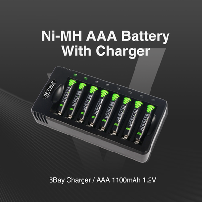 rechargeable aa batteries with 8 bay charger