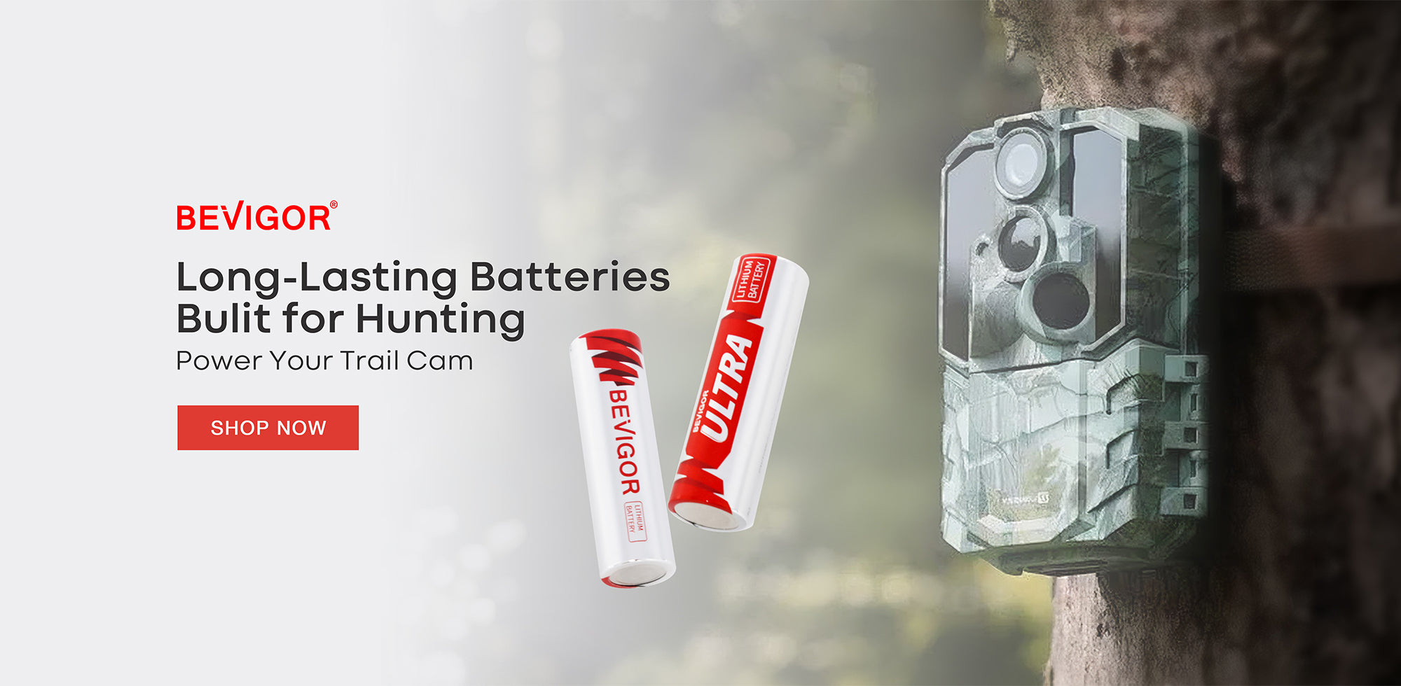 Bevigor Long-Lasting AA Batteries Bulit for Hunting Power Your Trail Cam