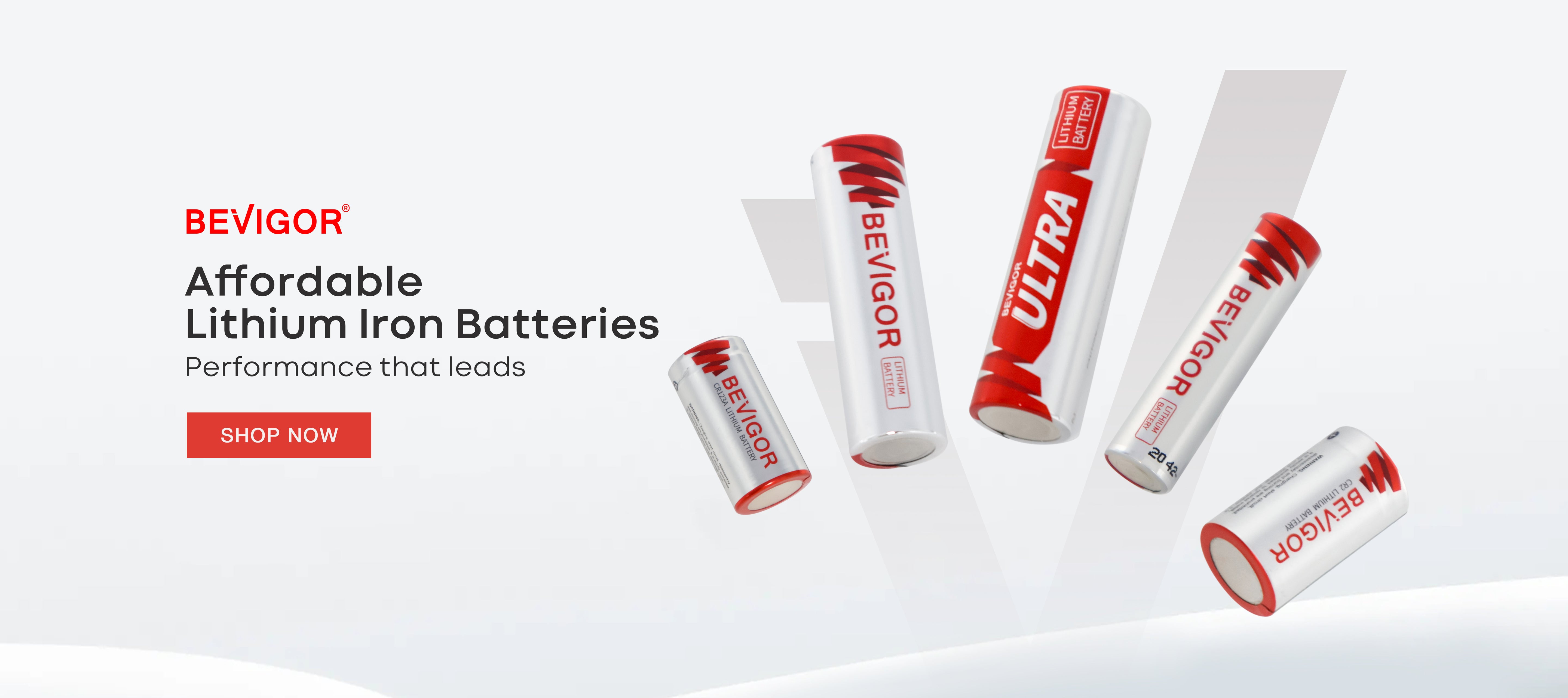 Bevigor Affordable Lithium lron Batteries Performance that leads